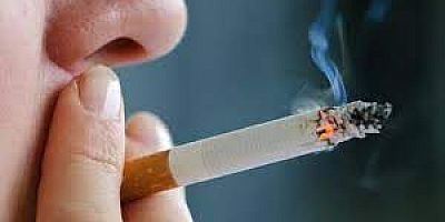 Her Yıl 600 Bin Kişi Sigara Dumanından Ölüyor