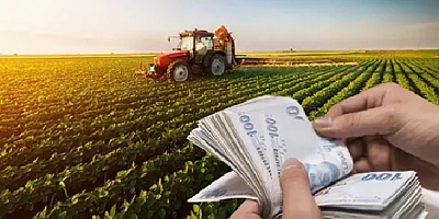 Tarımsal Girdi Enflasyonunda Artış Devam Ediyor.